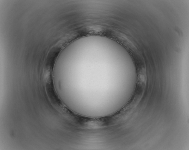 X0000113180468200909181857