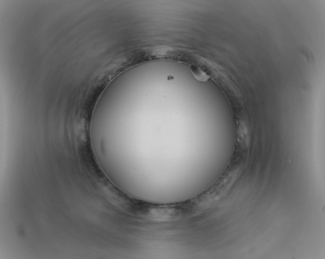 X0000113180470200909181857