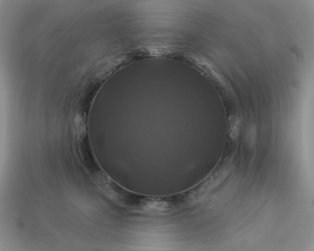 X0000113180471200909181857