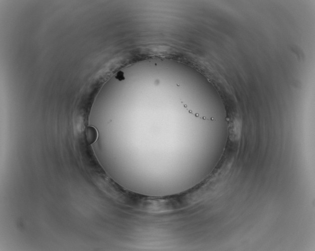 X0000113180472200909181857