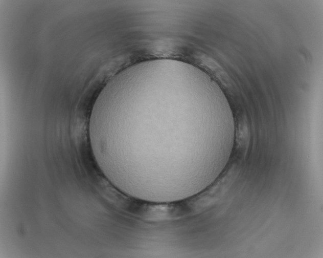 X0000113180473200909181857