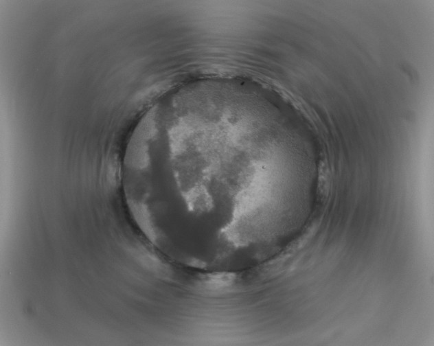 X0000113180474200909181857