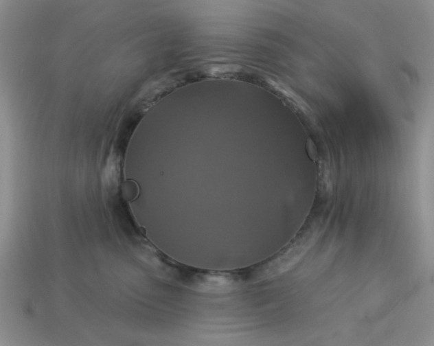 X0000113180475200909181857