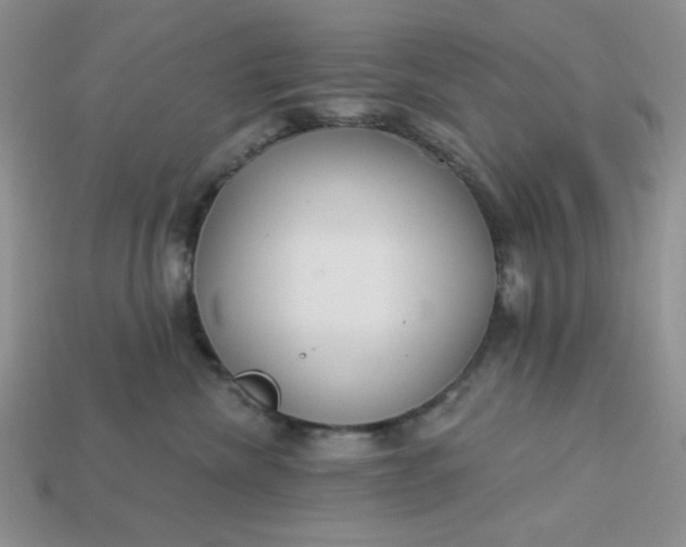 X0000113180476200909181857