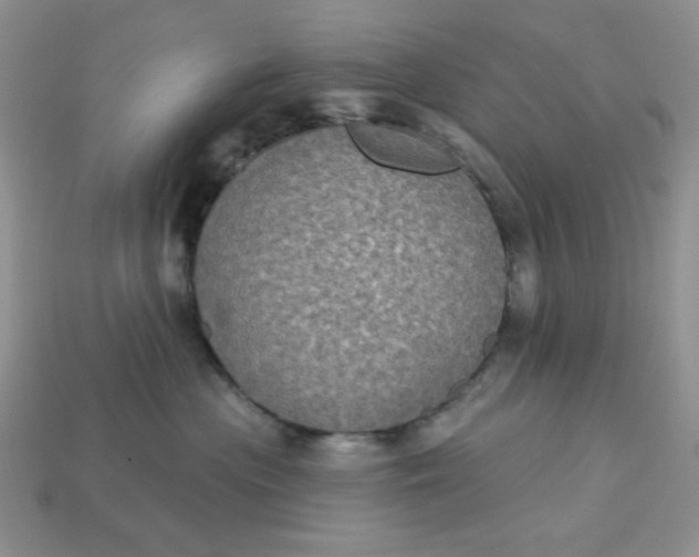 X0000113180477200909181857