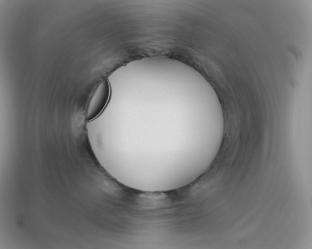 X0000113180480200909181857