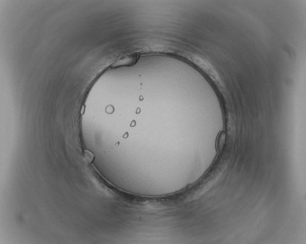 X0000113180481200909181857