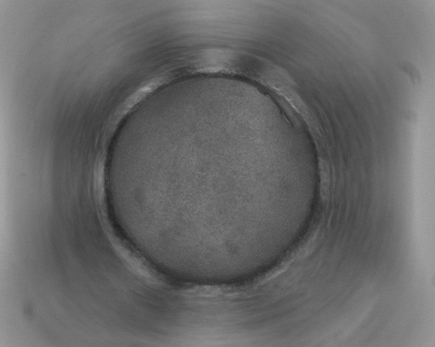 X0000113180482200909181857