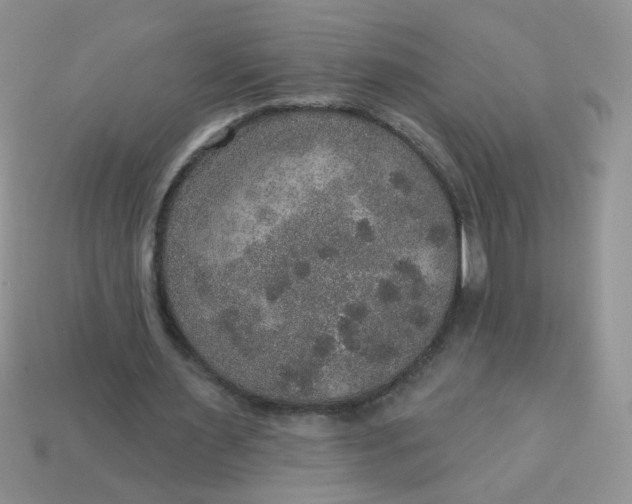 X0000113180483200909181857