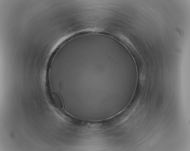 X0000113180484200909181857