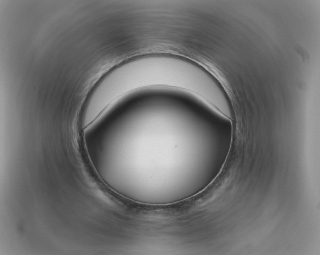 X0000113180485200909181857