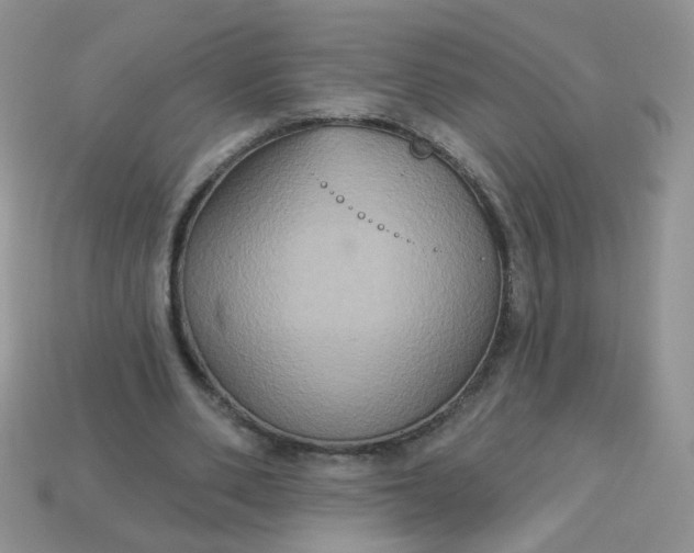 X0000113180486200909181856