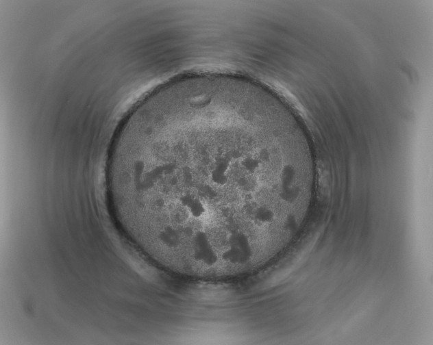 X0000113180487200909181856