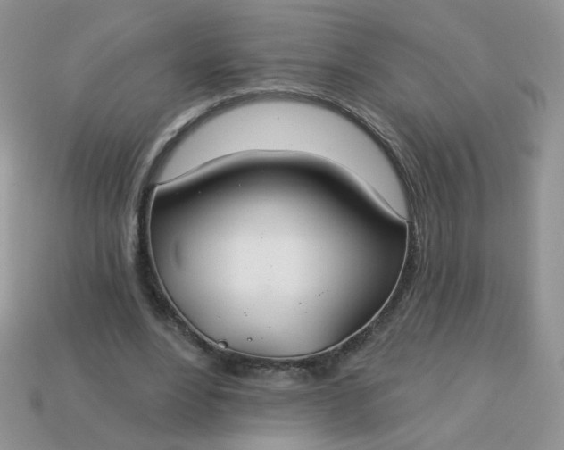 X0000113180488200909181856