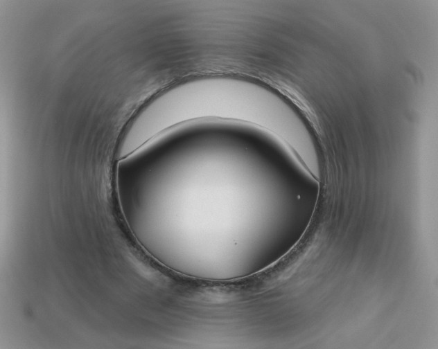 X0000113180489200909181856