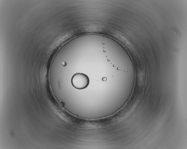 X0000113180490200909181856