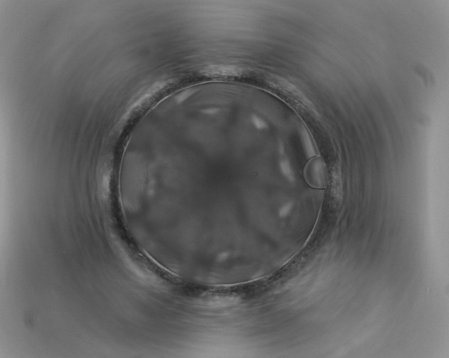 X0000113180491200909181856