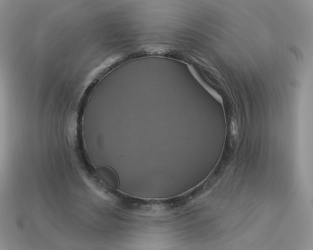 X0000113180492200909181856