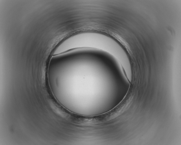 X0000113180493200909181856