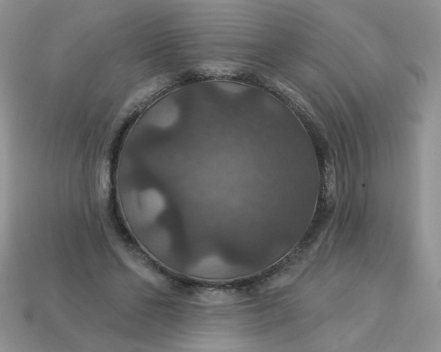 X0000113180494200909181856