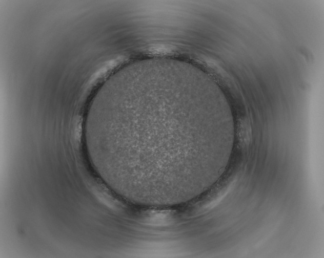 X0000113180495200909181856