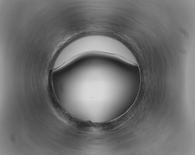 X0000113180496200909181856