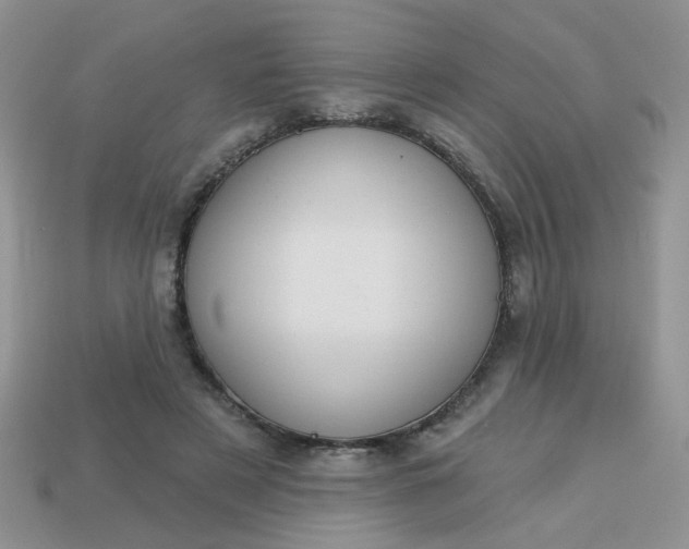 X0000113180497200909181856