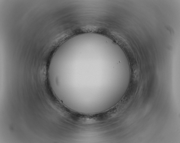 X0000113180498200909181856