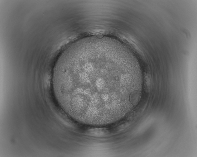 X0000113180499200909181856