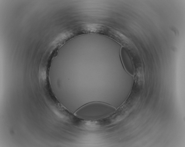 X0000113180500200909181856