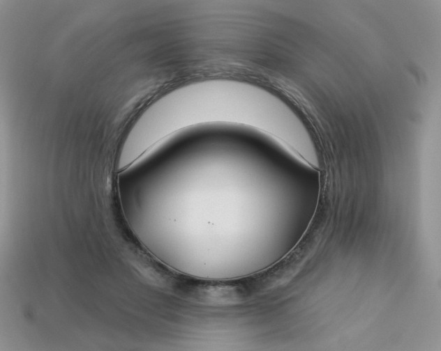 X0000113180501200909181856