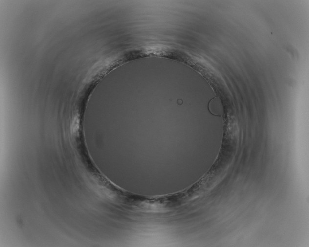 X0000113180502200909181856