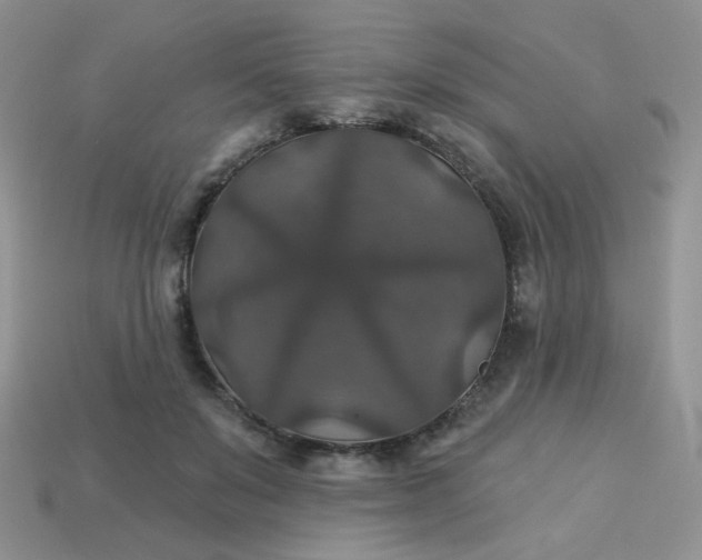 X0000113180503200909181856