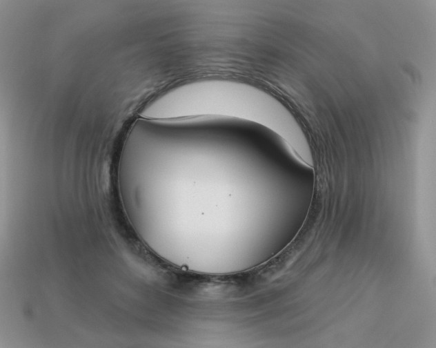 X0000113180504200909181856