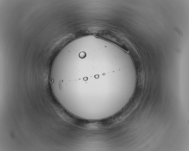 X0000113180505200909181856