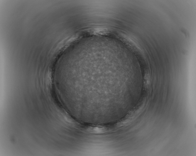 X0000113180506200909181856