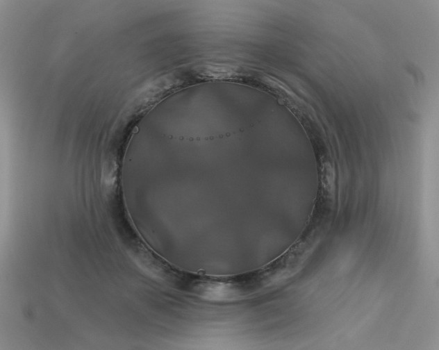 X0000113180507200909181856