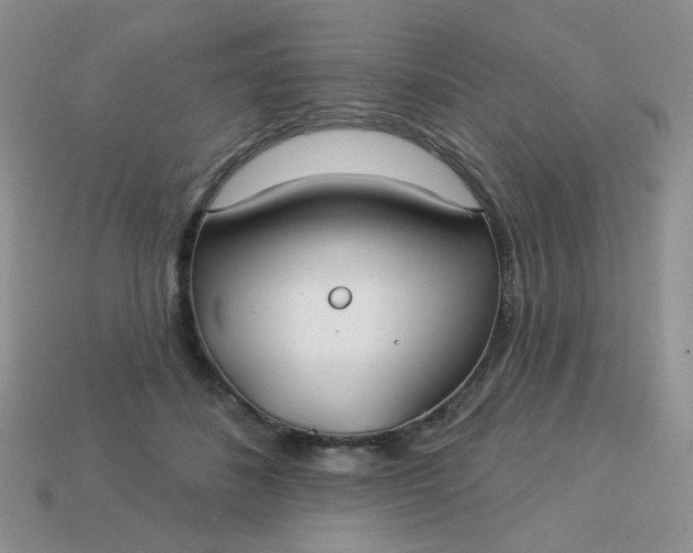 X0000113180508200909181856