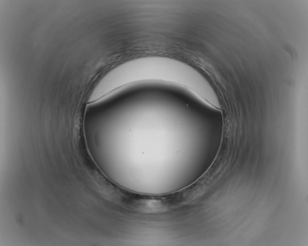 X0000113180509200909181856