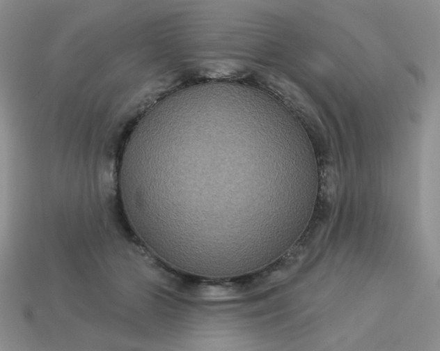 X0000113180510200909181856