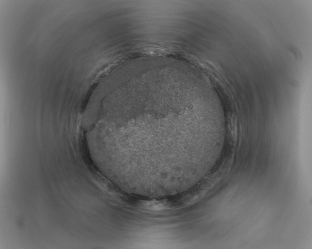 X0000113180511200909181856