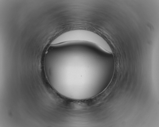 X0000113180512200909181856