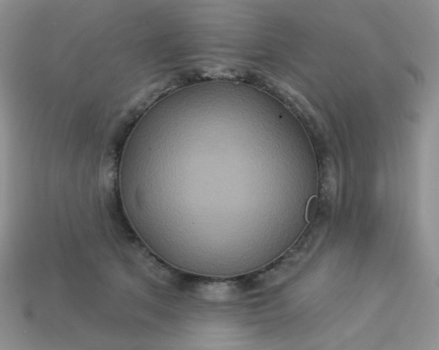 X0000113180513200909181856