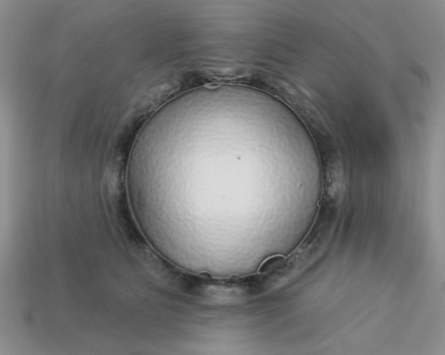 X0000113180515200909181856