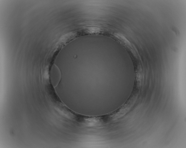 X0000113180516200909181856