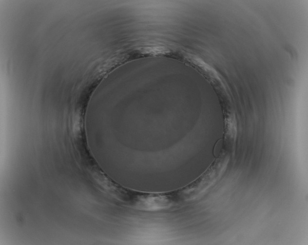 X0000113180517200909181856