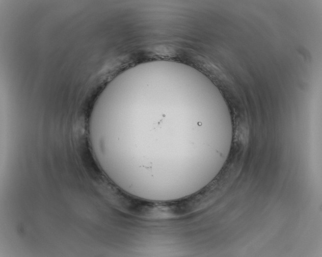 X0000113180518200909181856