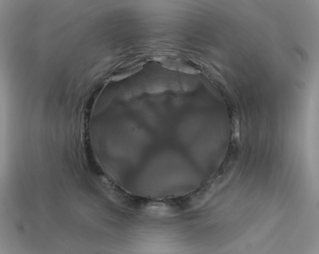 X0000113180519200909181856