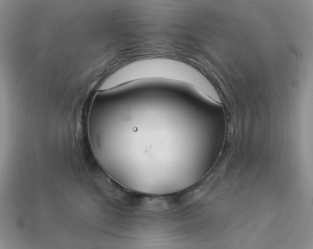 X0000113180520200909181856