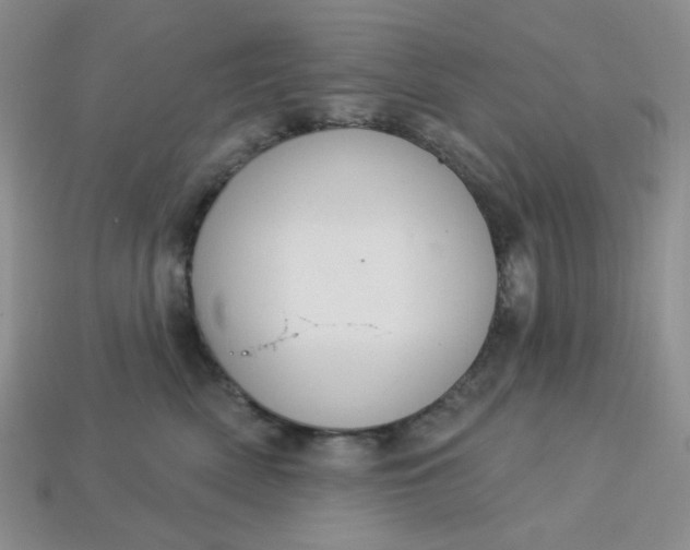 X0000113180522200909181856